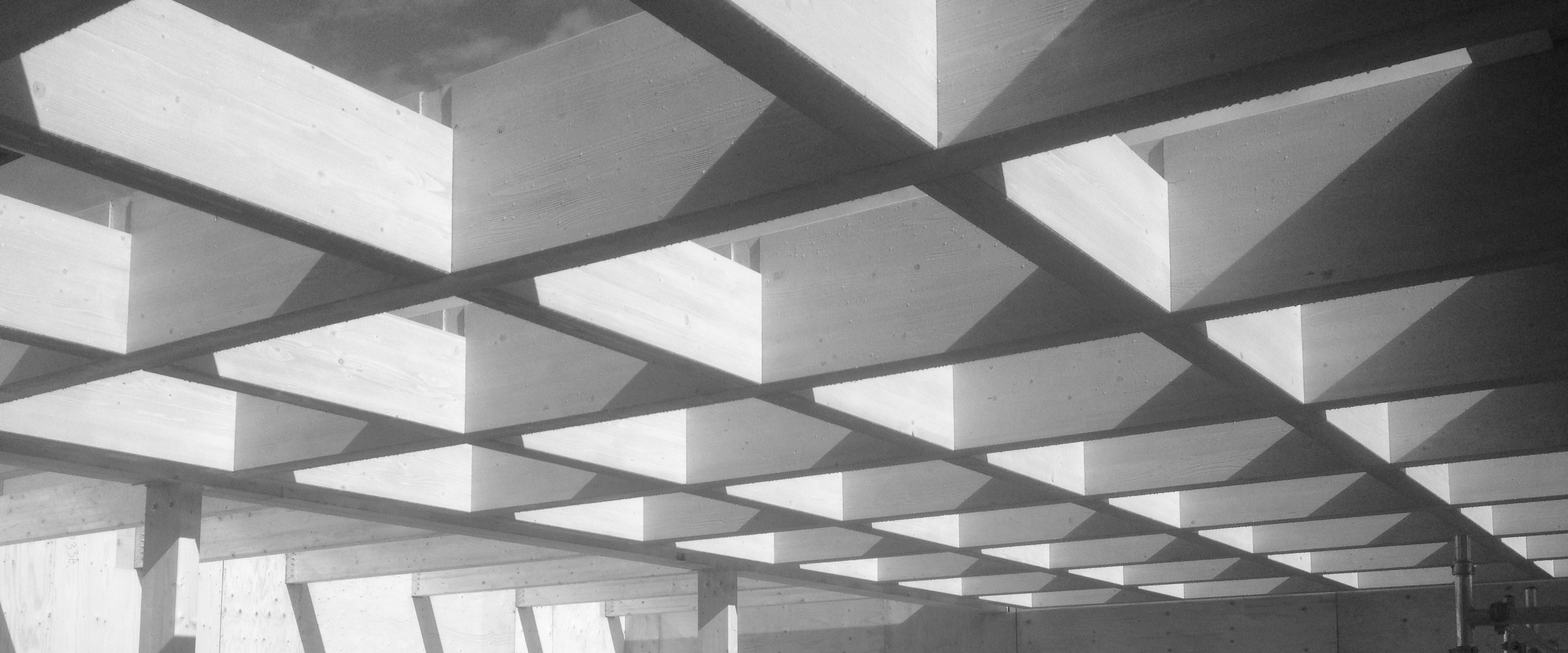 penthouse roof structure b&w - Cowley Timber + Partners - Designed Of Complementary Roof Penthouse Facility